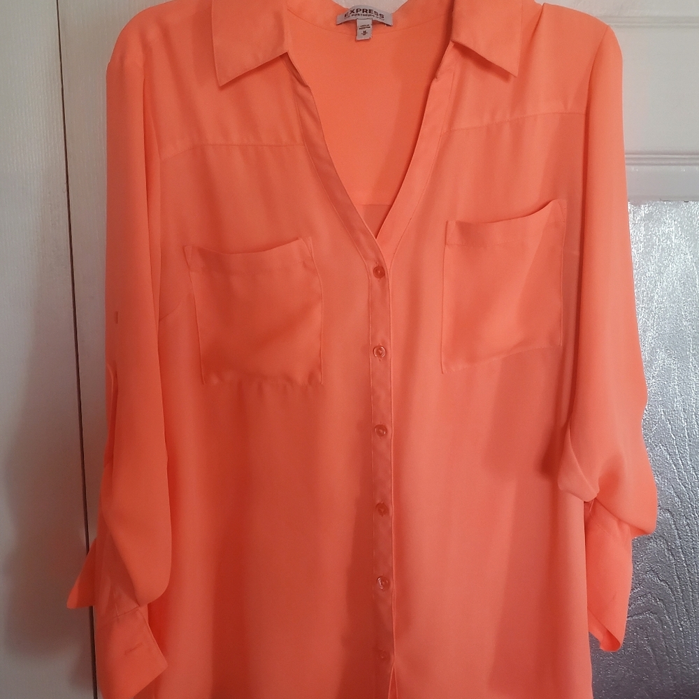 Express Sheer Flamingo Blouse S Med